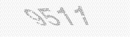 Visual security code — type the characters shown in the image